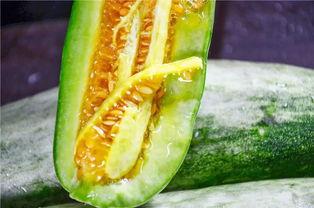 吃瓜香的网红有哪些  第1张